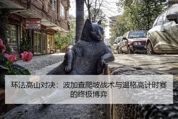 huan-fa-gao-shan-dui-jue-bo-jia-cha-pa-po-zhan-shu-yu-wen-ge-gao-ji-shi-sai-de-zhong-ji-bo-yi-3-326.jpg