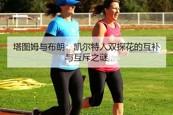 塔图姆与布朗：凯尔特人双探花的互补与互斥之谜